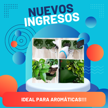 Cargar imagen en el visor de la galería, MACETAS DOBLES PARA JARDÍN VERTICAL, SUCULENTAS, AROMÁTICAS