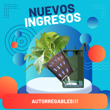 Cargar imagen en el visor de la galería, MACETAS DOBLES PARA JARDÍN VERTICAL, SUCULENTAS, AROMÁTICAS